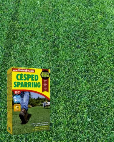 Професионална тревна смеска 5кг Спаринг, снимка 3 - Специални тревни смески