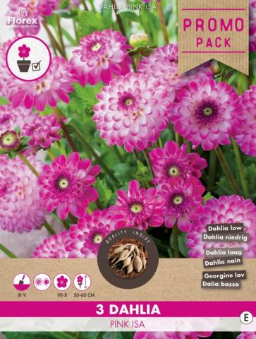 Луковици COMBO Далия Pink Isa - Външни растения