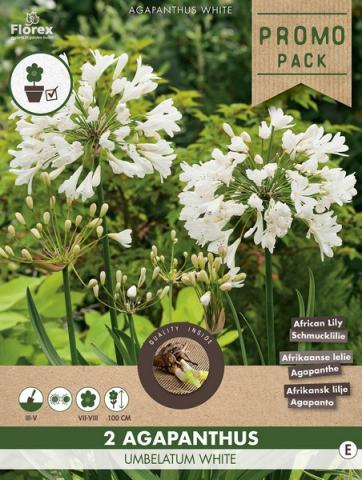 Луковици Promo Агапантус Umbelatum white 2бр. - Специалитети