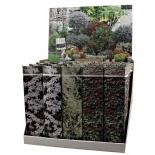 Пергола корен в кутия микс ф9 см