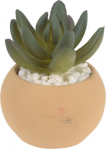 Изкуствен суколент в керамична саксия, снимка 6 - Единични цветя