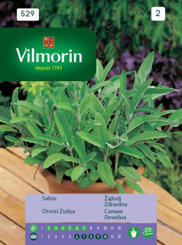 Салвия лечебна - Вилморин, снимка 2 - Семена за билки и подправки