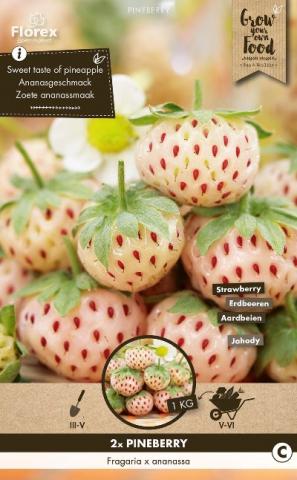 Грудки Ягода Pineberry 2 бр./пак. - Външни растения