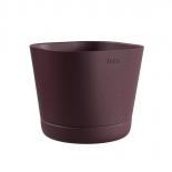 Скасия Colorado ф20 см бордо