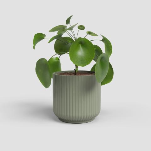 Кашпа Luna ф12 см зелена, снимка 2 - Керамични кашпи