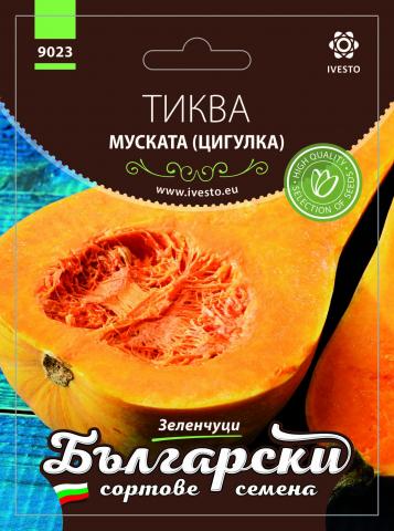 Български сортовe семена ТИКВА МУСКАТАНА ( цигулка ) - Семена за плодове и зеленчуци