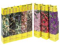 Увивни растения в кутия ф 9см