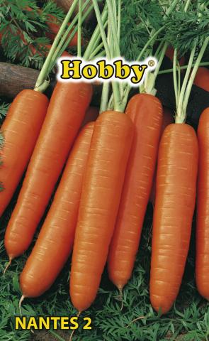 HOBBY семена моркови NANTES 2 - Семена за плодове и зеленчуци