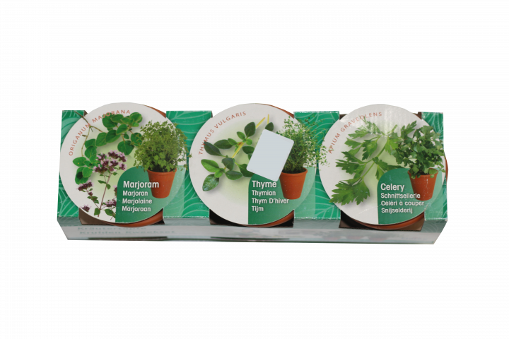 3 саксии за подправки зелени - Семена за билки и подправки