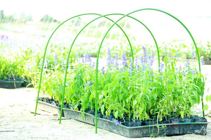 Колче за растения PVC - Колчета