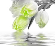 Декор Love Tulips Green Set
