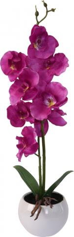 Орхидея в керамична саксия, снимка 3 - Цветя в саксия