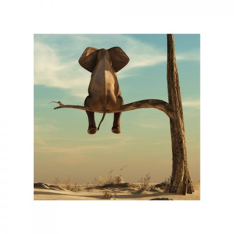 Картина Lonely elephant 50x50 см, снимка 3 - Картини и рамки