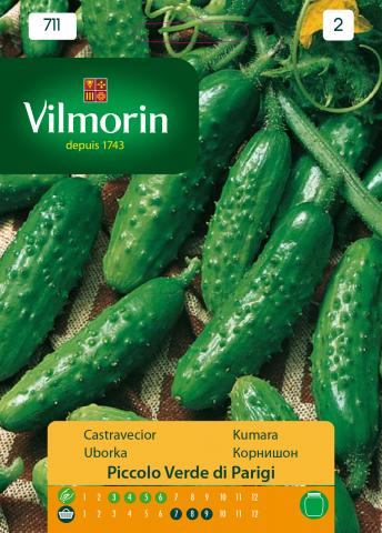 Корнишони малки зелени - Вилморин, снимка 2 - Семена за плодове и зеленчуци