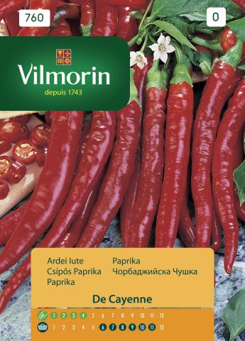 Люта чушка Cayenne - Вилморин - Семена за плодове и зеленчуци