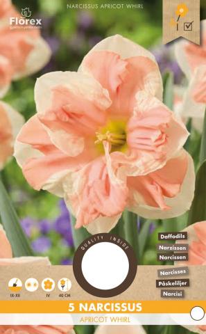 Луковици Нарцис Apricot Whirl 5 бр. - Нарциси