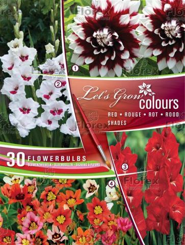 Луковици Let's Grow Colours Red Shades - Миксове