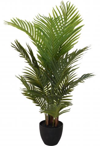 Зелено растение 94 см - Цветя в саксия