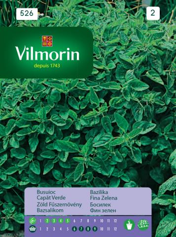 Босилек обикновен - Вилморин, снимка 2 - Семена за билки и подправки