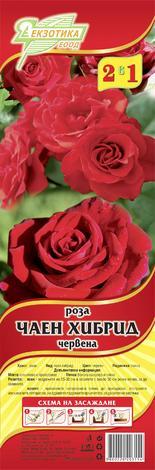 Корени рози червени 2 броя - Рози