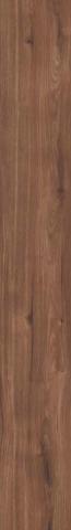 Zanzibar Hickory