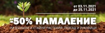 До -50% частично намаление на външни растения и разсад в магазини HomeMax 2021