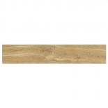 Гранитогрес Giornata 60x11 Oro