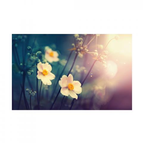 Картина Flower in sunrise 60x90 см, снимка 3 - Картини и рамки