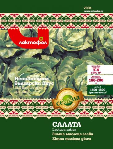 Български семена Салата Зимна маслена глава - 3 гр. - Семена за плодове и зеленчуци