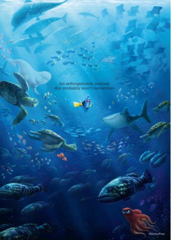 Постер за стена Dory 15 59x84 см - Постери и стикери