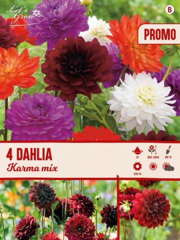 Луковици LET S GROW Далия Karma mix - Далии