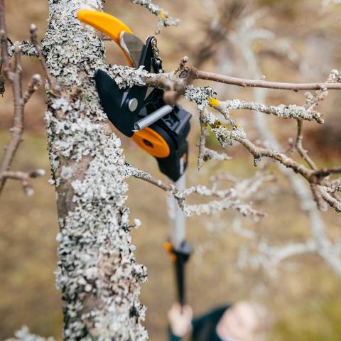 Телескопична резачка за клони Fiskars UP86, снимка 3 - Ножици за клони