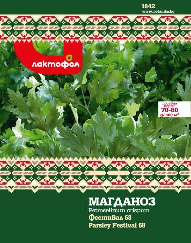 Български семена Магданоз Фестивал - Семена за билки и подправки