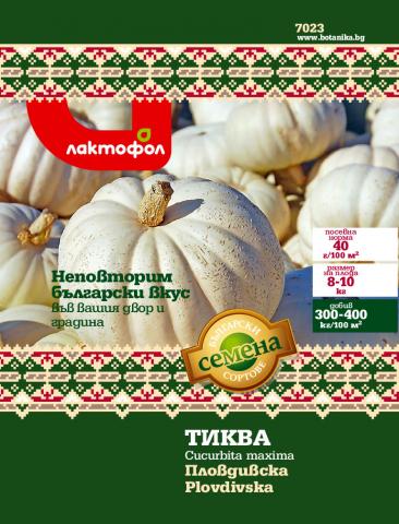 Български семена Тиква Пловдивска - 5 гр. - Семена за плодове и зеленчуци
