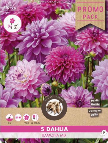 Луковици Promo Далия Ramona mix 5бр. - Далии