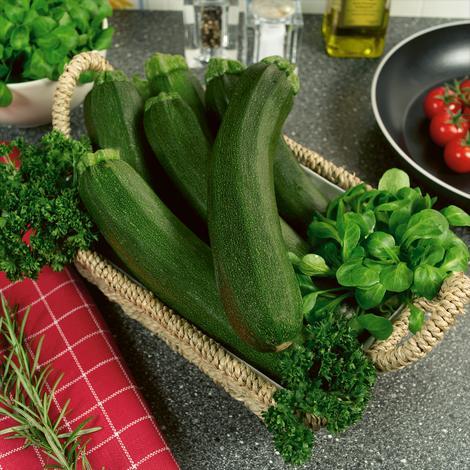 Разсад Био тиквички Ф:9см - Зеленчуци и подправки