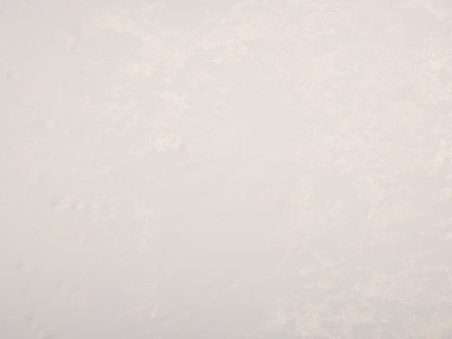 Воал Marmor 280 см бял, снимка 2 - Пердета на л.м.
