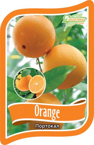 Цитрус портокал в контейнер 3 л - Средиземноморски растения