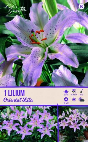 Луковици Let s grow Лилиум Oriental Lila 1бр. - Лилиуми