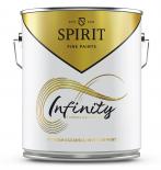 Spirit Infinity 2.5л