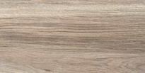 Фаянс Bella Nut 20x40