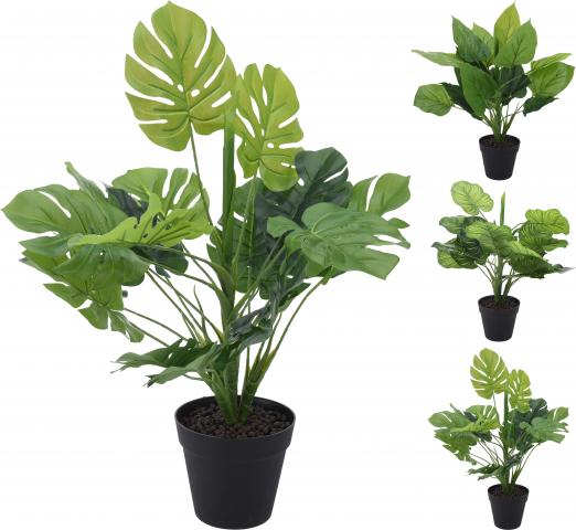Зелено растение в саксия голямо, 45см 3 вида - Цветя в саксия