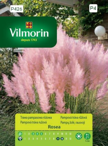Вилморин семена Пампаска трева (розова) - Семена за цветя