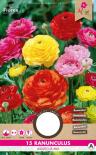 Луковици PURE Лютиче Special bulbs mix, 15бр