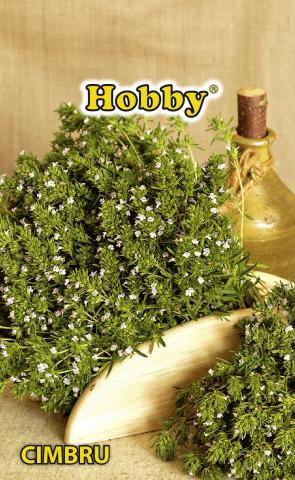 HOBBY семена чубрица - Семена за билки и подправки