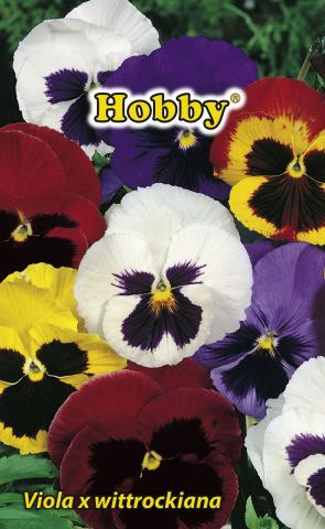 HOBBY семена теменужка микс - Семена за цветя