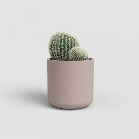 Кашпа за кактус Juno ф9 см розова, снимка 2 - Керамични кашпи