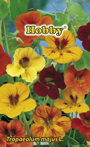 HOBBY семена латинка пълзяща микс - Семена за цветя