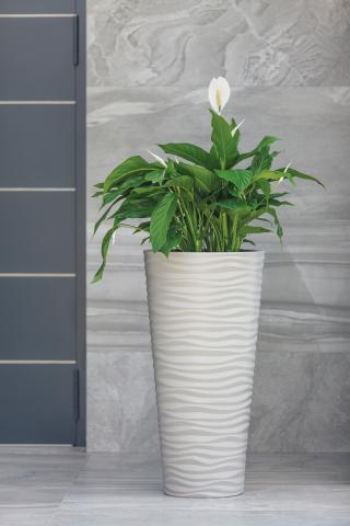 Кашпа Sahara Slim ф30х56 см бяла, снимка 3 - Пластмасови кашпи