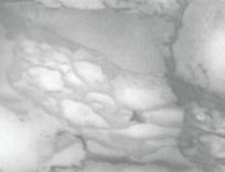Самозалепващо фолио 90см x 15м -  Сив мрамор